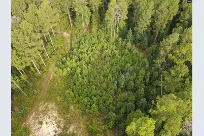 Tract 3 Bridle Path Road #Tract 3, Camden, SC 29020 - Photo 4