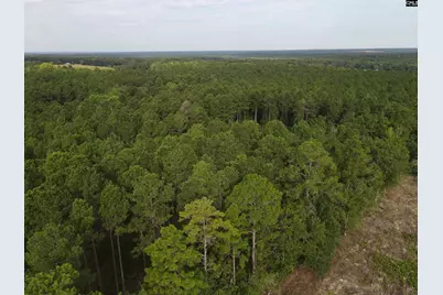 Tract 4 Bridle Path Road #Tract 4, Camden, SC 29020 - Photo 1
