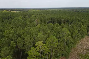 Tract 4 Bridle Path Rd, Camden, SC 29020 - Photo 1