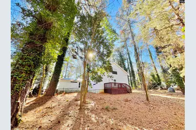 1301 Winterwood Road, Columbia, SC 29203 - Photo 40