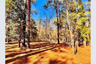 1301 Winterwood Road, Columbia, SC 29203 - Photo 36