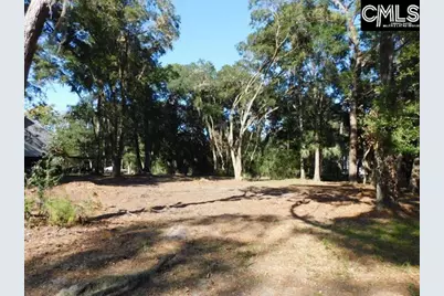8139 Murphy Creek Court, Edisto Island, SC 29438 - Photo 2