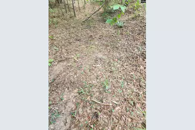 Tract 1 Hoke Road, Heath Springs, SC 29058 - Photo 10