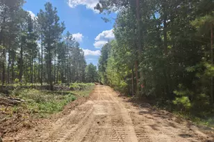 Tract 1 Hoke Rd, Heath Springs, SC 29058 - Photo 1