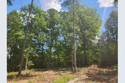 Tract 1 Hoke Road, Heath Springs, SC 29058 - Photo 4