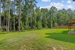 719 Cold Spgs Ln, Irmo, SC 29063 - Photo 62