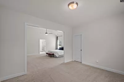 719 Cold Springs Lane, Irmo, SC 29063 - Photo 28