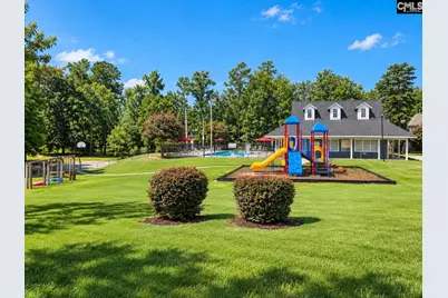 181 Palm Street, Chapin, SC 29036 - Photo 48