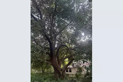 9 Middle Street, Sumter, SC 29150 - Photo 4