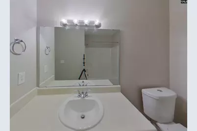 173 Burma Road, Lexington, SC 29072 - Photo 8