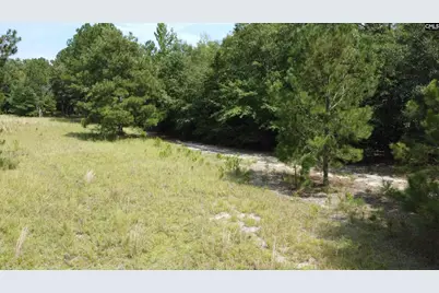 00 Warner Road, Salley, SC 29137 - Photo 8
