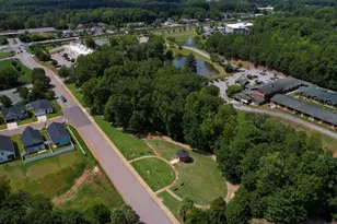 23 Palmetto Wood Ct, Irmo, SC 29063 - Photo 68