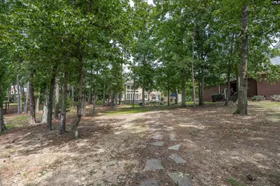 164 Summer Breeze Drive, Leesville, SC 29070 - Photo 46