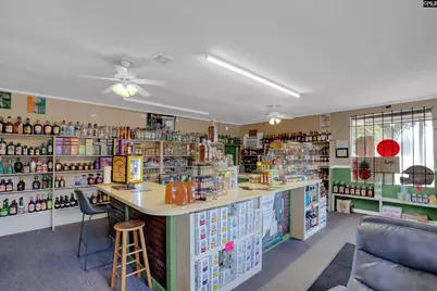 120 W 7th Street, Swansea, SC 29160 - Photo 4