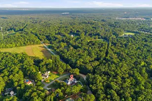 101 River Creek Dr, Irmo, SC 29063 - Photo 48