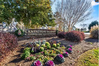 413 Oxenbridge Way, Chapin, SC 29036 - Photo 40