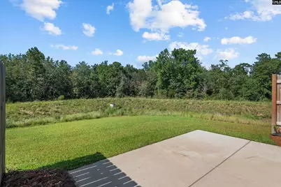 231 Flatsedge Court, Lexington, SC 29072 - Photo 28