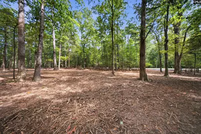 1376 Eleazer Road, Irmo, SC 29063 - Photo 10