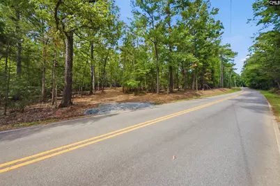 1376 Eleazer Road, Irmo, SC 29063 - Photo 6