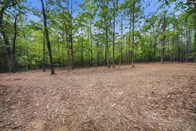 1376 Eleazer Road, Irmo, SC 29063 - Photo 8