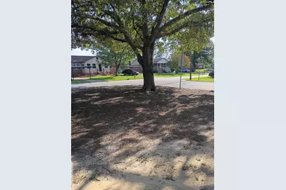 365 Tomentosa Drive N, Columbia, SC 29209 - Photo 74