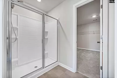 184 Rushton Drive, Chapin, SC 29036 - Photo 22