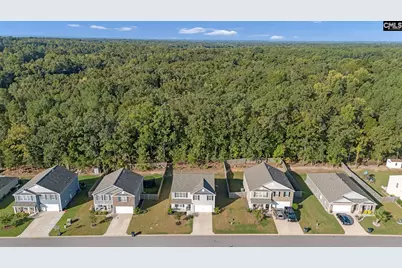 184 Rushton Drive, Chapin, SC 29036 - Photo 42