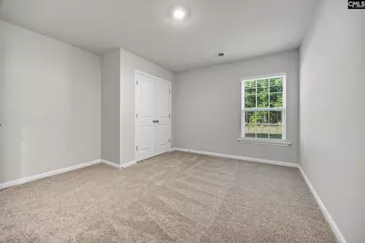 184 Rushton Drive, Chapin, SC 29036 - Photo 16