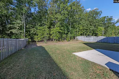184 Rushton Drive, Chapin, SC 29036 - Photo 40