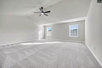 184 Rushton Drive, Chapin, SC 29036 - Photo 18
