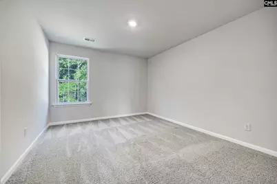 184 Rushton Drive, Chapin, SC 29036 - Photo 26