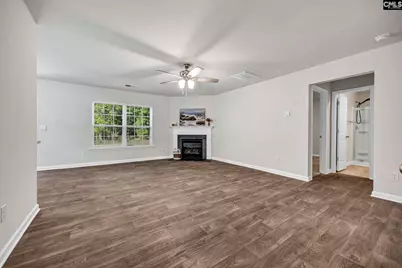 184 Rushton Drive, Chapin, SC 29036 - Photo 6