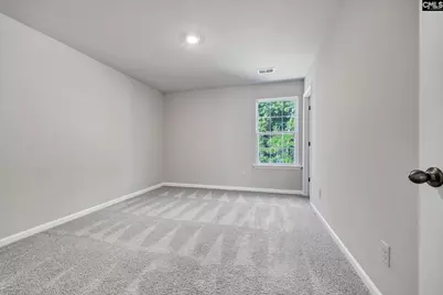 184 Rushton Drive, Chapin, SC 29036 - Photo 28
