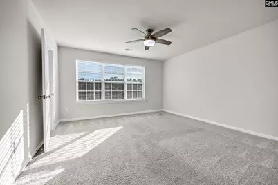 184 Rushton Drive, Chapin, SC 29036 - Photo 32