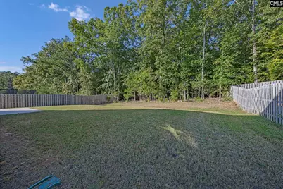 184 Rushton Drive, Chapin, SC 29036 - Photo 36