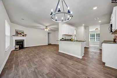 184 Rushton Drive, Chapin, SC 29036 - Photo 10