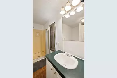 123 Castleville Court, Lexington, SC 29073 - Photo 14