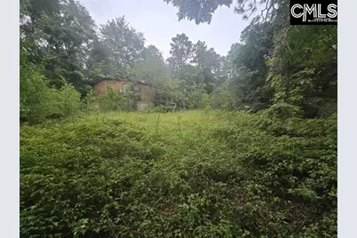 807A Laurel Road, Lexington, SC 29073 - Photo 2