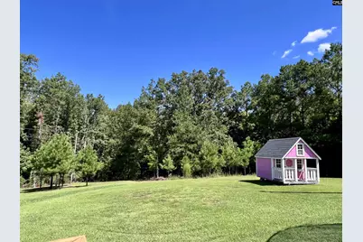 2131 Island Trail, Chapin, SC 29036 - Photo 48