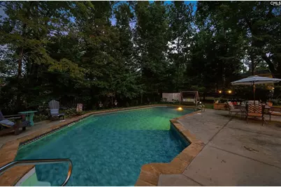 4 Bamboo Grove Court, Chapin, SC 29036 - Photo 54