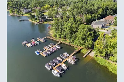 4 Bamboo Grove Court, Chapin, SC 29036 - Photo 64