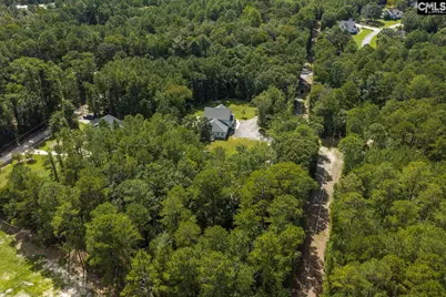 303 Juniper Springs Road, Gilbert, SC 29054 - Photo 62