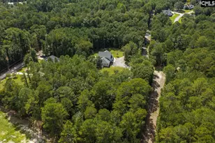 303 Juniper Springs Rd, Gilbert, SC 29054 - Photo 62