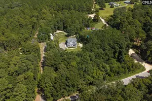 303 Juniper Springs Rd, Gilbert, SC 29054 - Photo 58