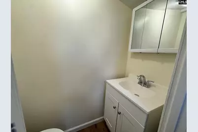 360 Rikard Street, Batesburg, SC 29006 - Photo 10