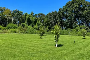 1411 Holy Trinity Church Rd, Chapin, SC 29036 - Photo 24