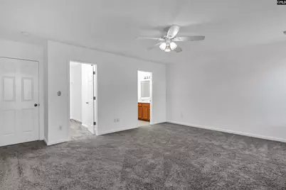 48 Rustyred Court, Chapin, SC 29036 - Photo 24