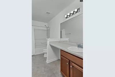 48 Rustyred Court, Chapin, SC 29036 - Photo 46