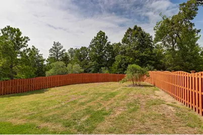 48 Rustyred Court, Chapin, SC 29036 - Photo 48