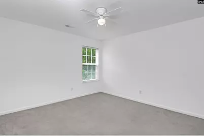 48 Rustyred Court, Chapin, SC 29036 - Photo 32